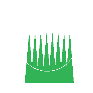 Northern Sea Oats (Chasmanthium latifolium) reference icon
