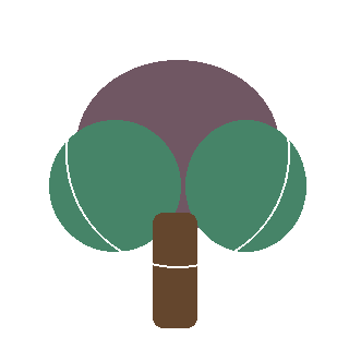 Pagoda Dogwood (Cornus alternifolia) reference icon