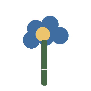 Sea Thrift (Armeria maritima) reference icon